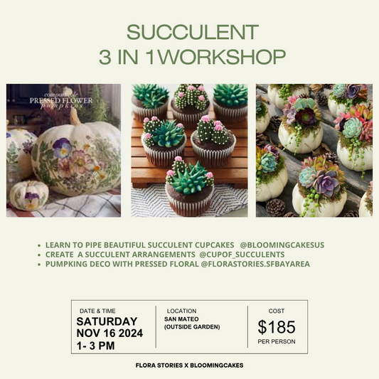 3 in 1 Workshop - Succulent Cupcake Piping + Succulent Arrangements + Pumpkins Craft