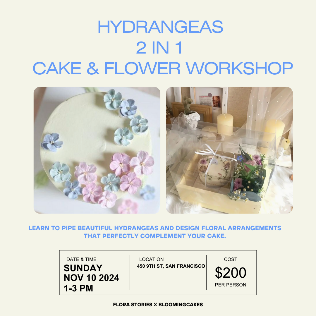 11.10.24 Hydrangeas Bento Cake Buttercream & Floral Workshop